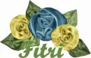 fitri