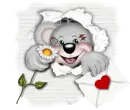 Creddy Bear