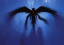 Shadow Angel