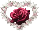 Hearts and Roses