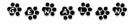 Genalyn Paw Prints