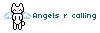 angels