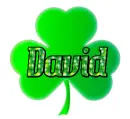 CLOVER WITH THE NAME DAVID