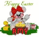amy