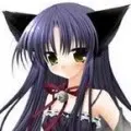 Dark kitty