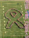 For The Cure