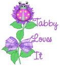 Tabby Loves It