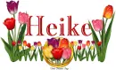 Tulips Heike