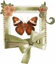 buterfly