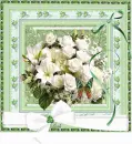 flowers in frame