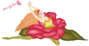 Petali di Rosa
