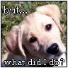 What did I do? Icon