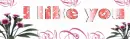 I like you