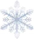 Snowflake