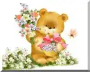 Sweet Bear