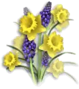 Cute Flowers