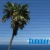 Summerr 