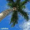 Summmerr baby.!