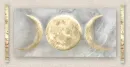 Moons