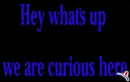 Curious - What's up?