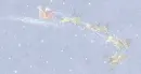santa fly