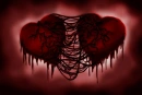 Torn Between Hearts