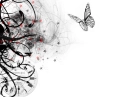 Butterfly Frenzy