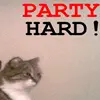 Party Cat