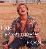 fool