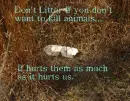 Littering is wrong