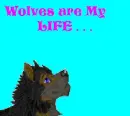 Wolves are my life
