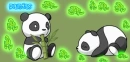 two pandas