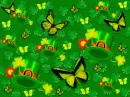ST. PATRICKS BUTTERFLY DAY