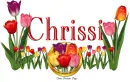 Tulips Chrissi