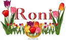 Tulips Roni
