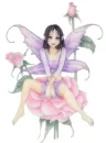 Fairy