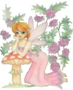 Fairy