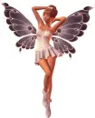 Fairy