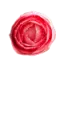 PINK ROSE