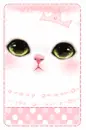 FANCY CAT