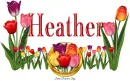 Tulips Heather