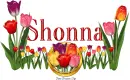 Tulips Shonna