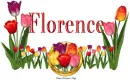 Tulips Florence