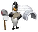 penguin reading mail