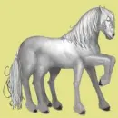 Howrse White Sleipnir