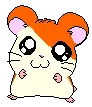 hamtaro