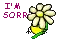 â˜†SoRRyâ˜†