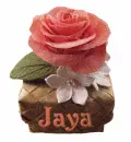 Jaya