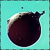 B612