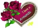 i love armanda